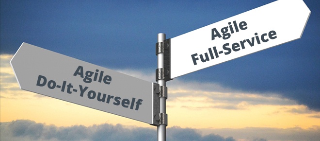 Agile Full-Service Market Research vs. Agile Do-It-Yourself Research: A User Guide