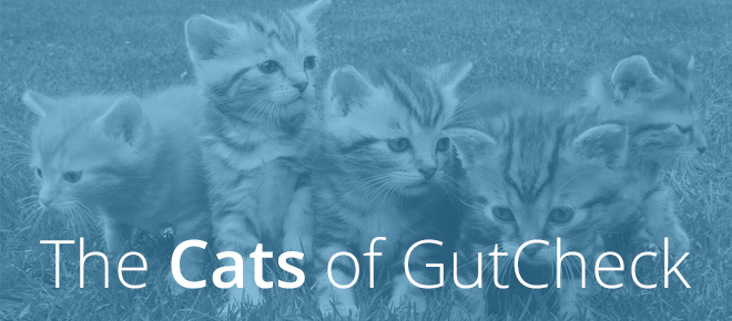 The Cats of GutCheck
